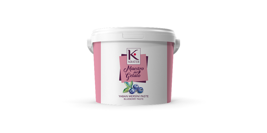 Morbi vitae purus dictum, ultrices tellus in, gravida lectus. 