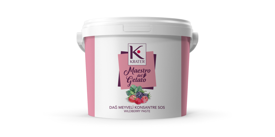 Morbi vitae purus dictum, ultrices tellus in, gravida lectus. 